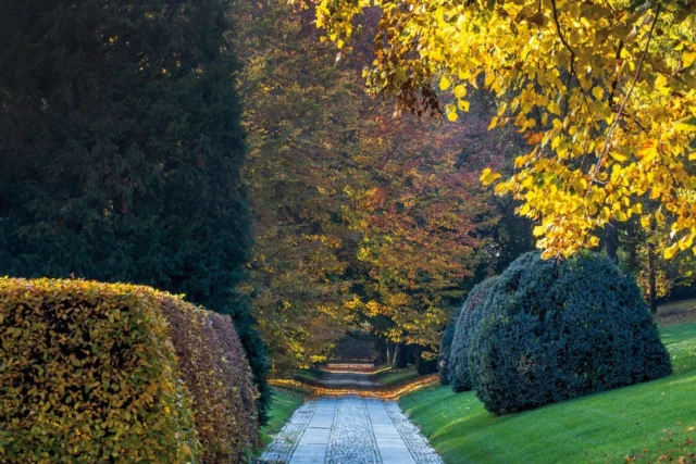 giardino d'autunno