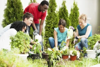 Millennials intenti al giardinaggio