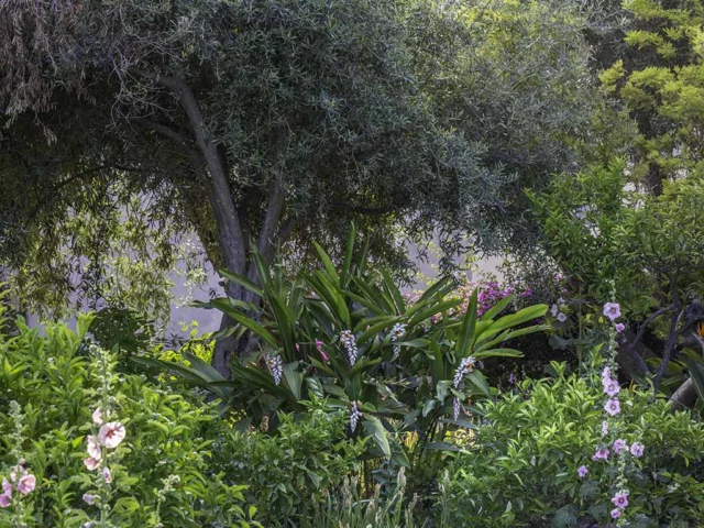 Il secondo livello del giardino di Casa Cuseni, foto di Dario Fusaro