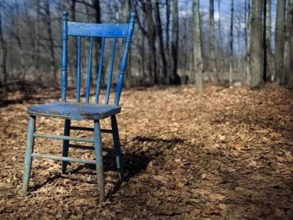 sedie di legno