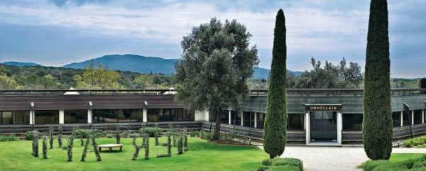 tenuta ornellaia tour enogastronomici in toscana