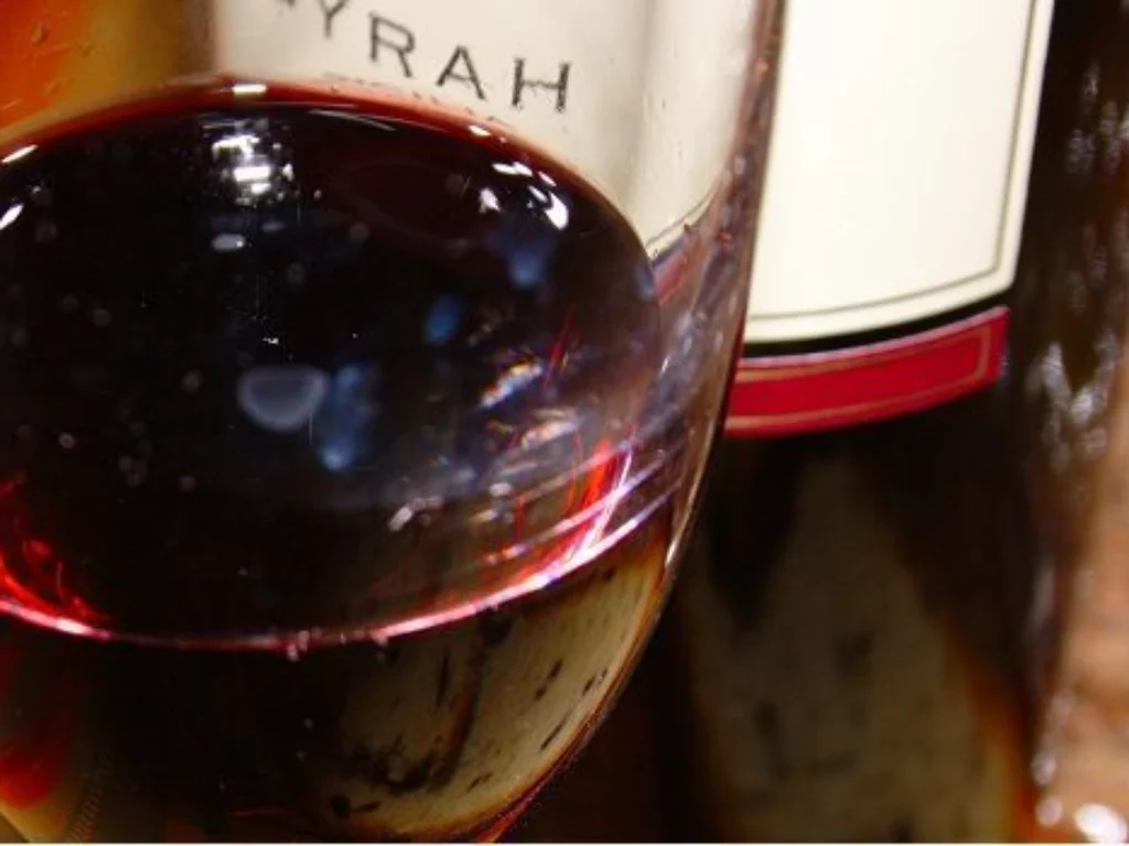 assaggio di vino Syrah