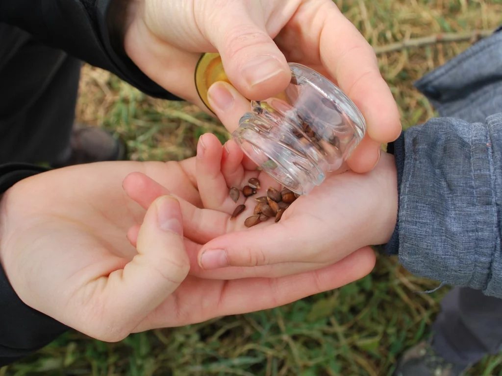 giochi da giardinaggio per bambini