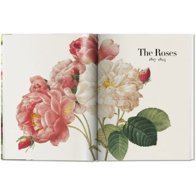 Alla scoperta del Raffaello dei fiori con The Book of Flowers
