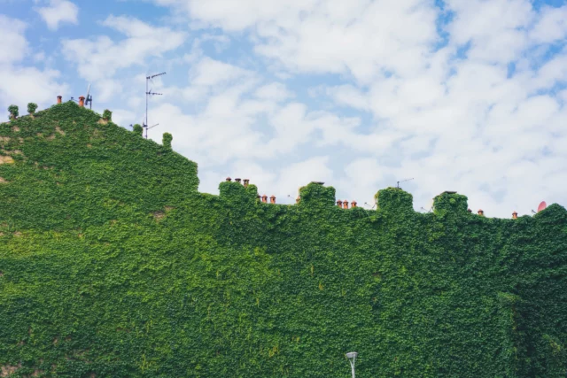 Una casa green a tutto tondo: si puÃ², grazie aÂ CrÃ©dit Agricole (Ph. by John Moeses Bauan)