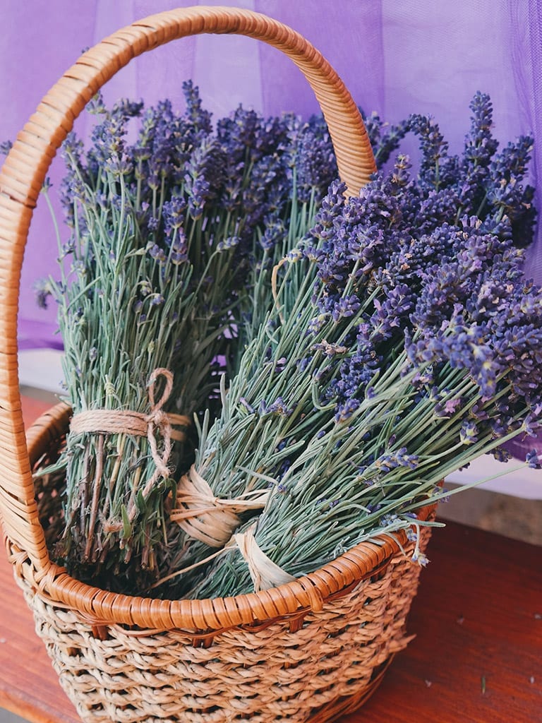 Fioriture Lavanda Profumo D Estate Ville E Giardini