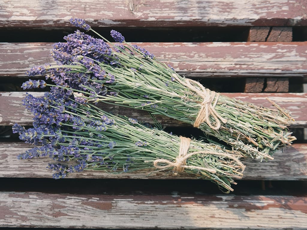 Fioriture Lavanda Profumo D Estate Ville E Giardini