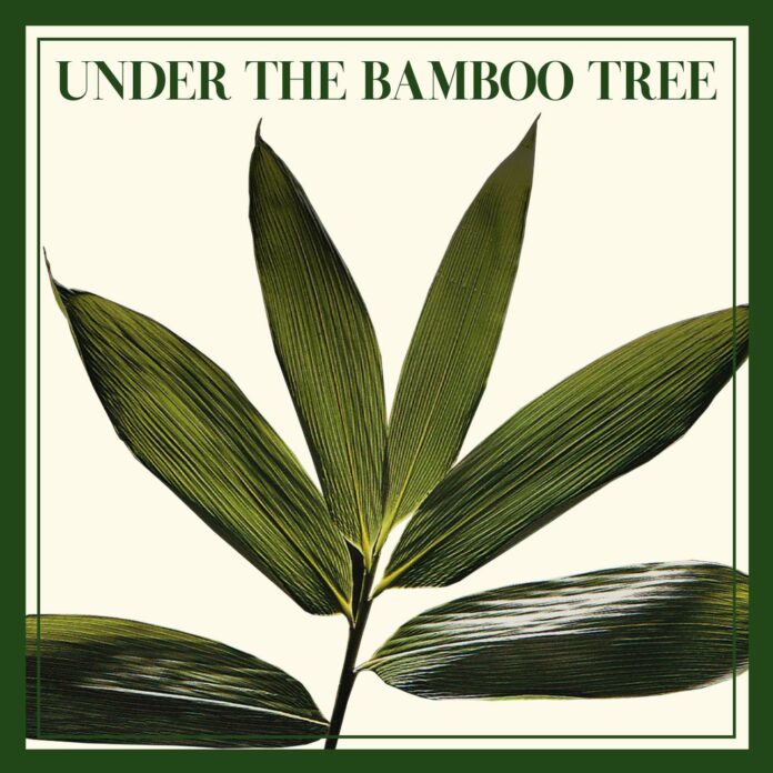 Labirinto della Masone under the bamboo tree