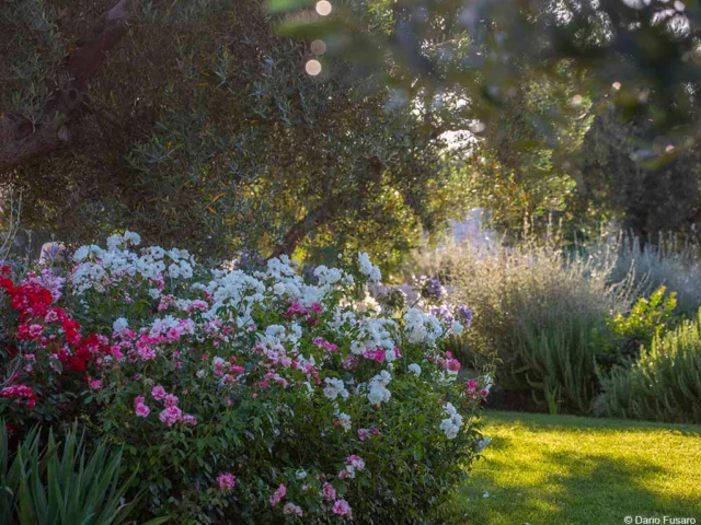 giardino di gianni birardi in Puglia