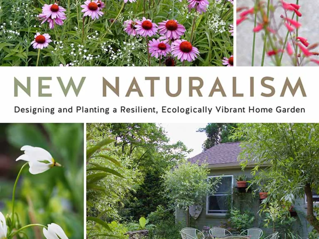 New Naturalism book
