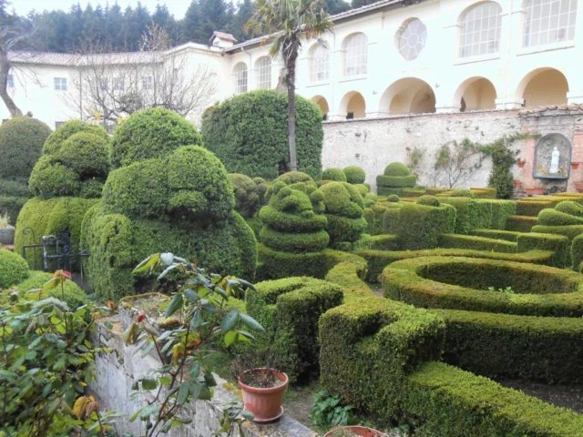 Giardino dei certosini farmacia di Trisulti giardino monastico