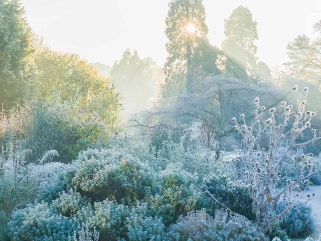 giardini in inverno