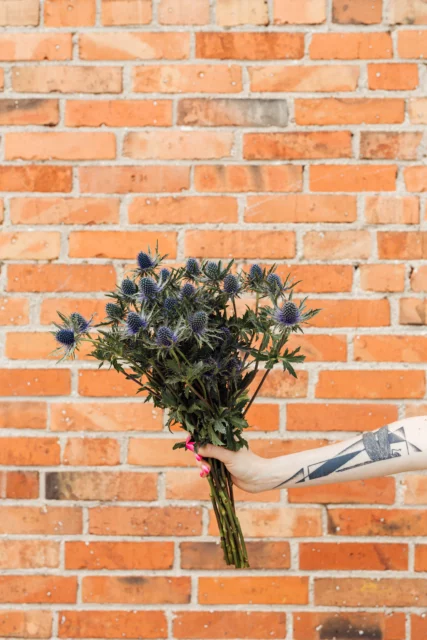 sea holly bouquet