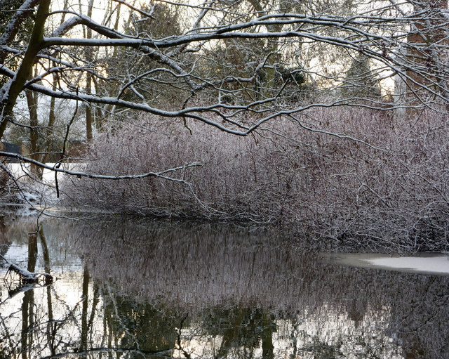 giardino inverno