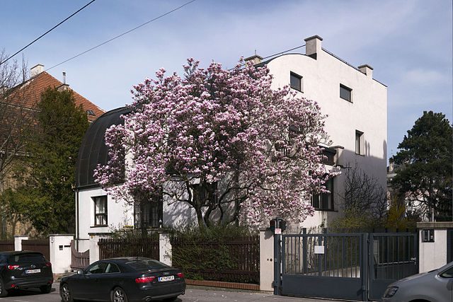 Villa Steiner Adolf Loos