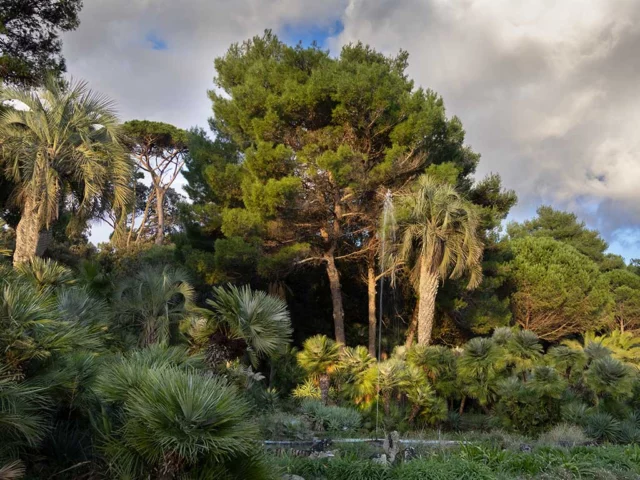 villa Borghese Nettuno