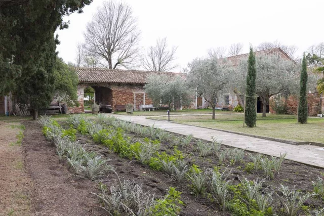 Venice Gardens Foundation