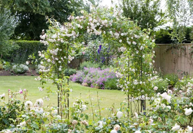 Cottage Garden