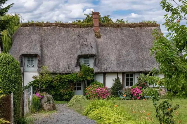 Cottage Garden