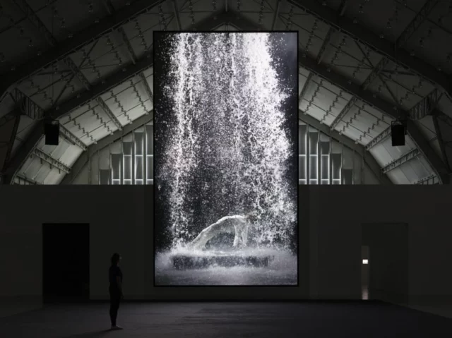 Bill Viola Videoart