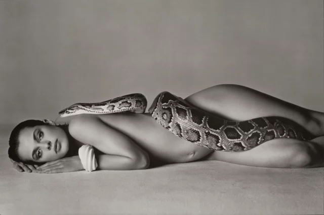 Richard Avedon