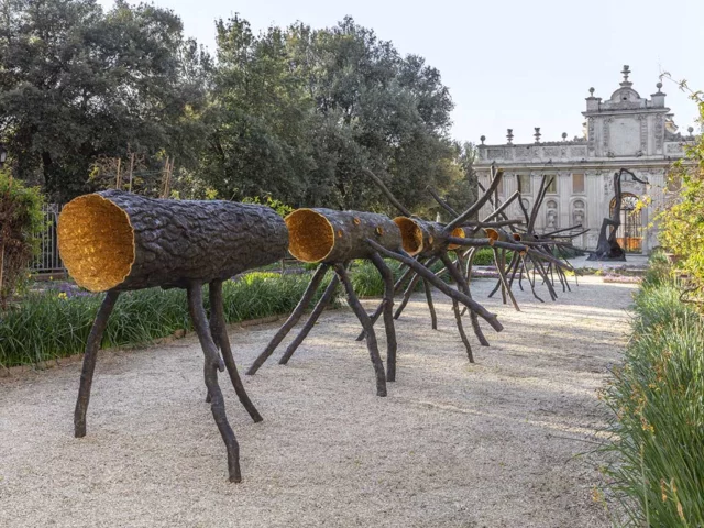 Giuseppe Penone: Gesti Universali