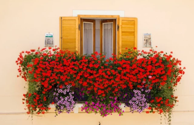 Un balcone fiorito con l'effetto tutto pieno