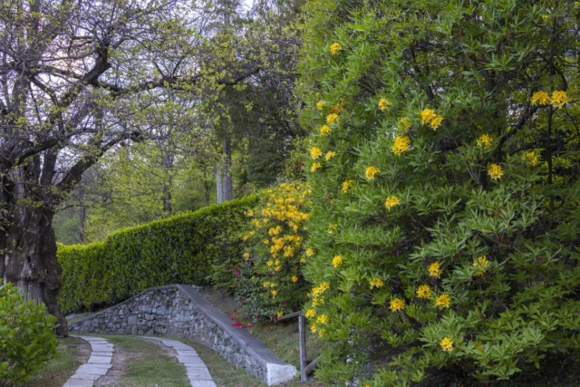 Giardino Lorella