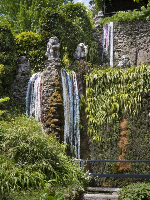 Alghe di Stefano Arienti a Villa Carlotta