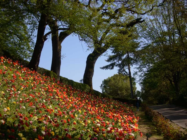 Parco Giardino SigurtÃ 