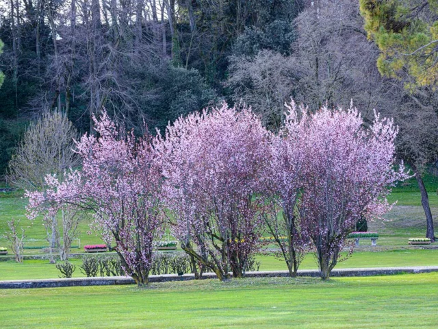 Parco Giardino SigurtÃ 