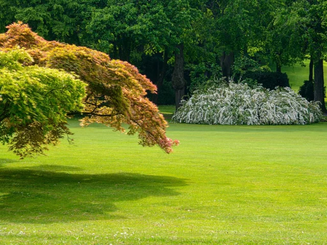 Parco Giardino SigurtÃ 