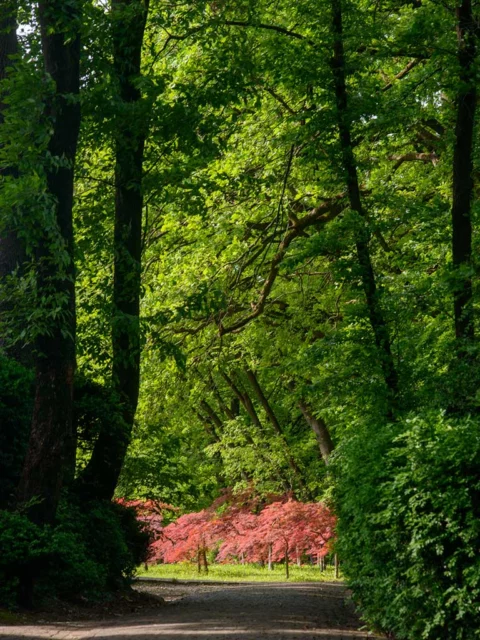 Parco Giardino SigurtÃ 