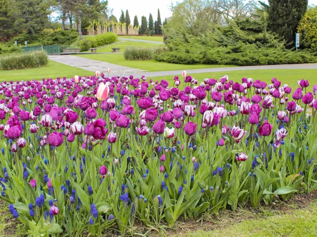 Parco Giardino SigurtÃ 