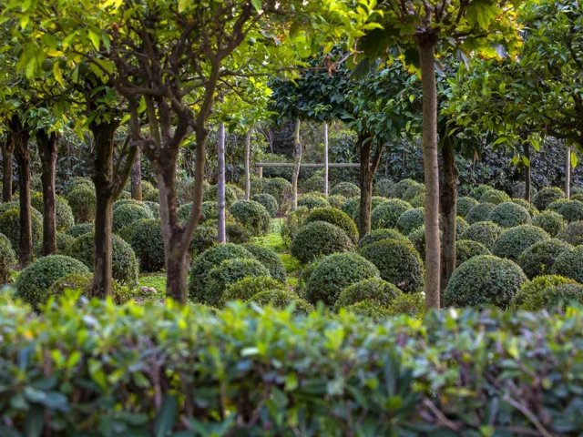 Giardini della Landriana