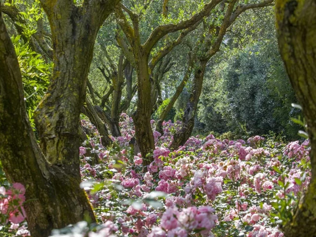 Giardini della Landriana