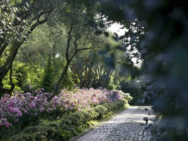 Giardini della Landriana