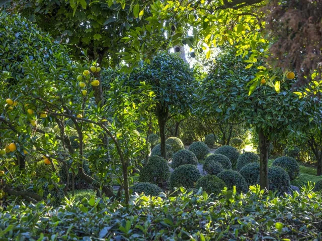 Giardini della Landriana